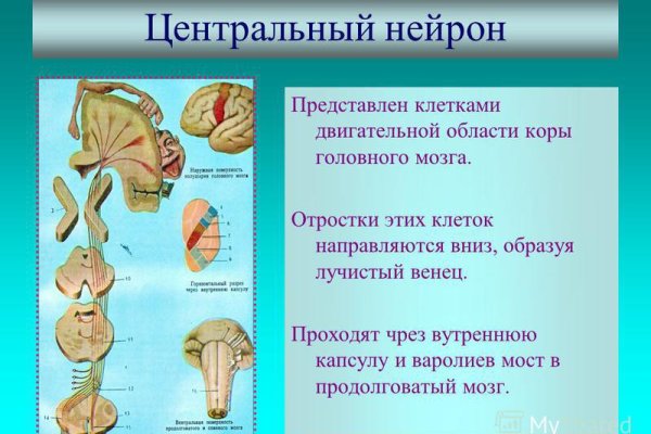 Mega онион megadarknet de